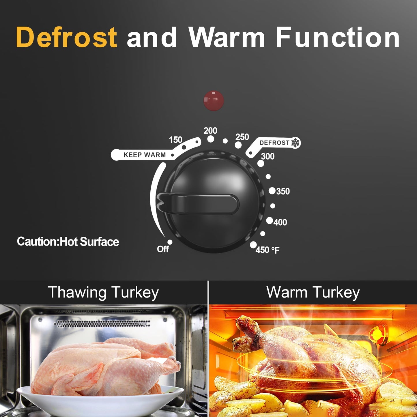 RoyalCraft 20 Quart Electric Roaster Oven with Self-Basting Lid, Stainless Steel, Silver